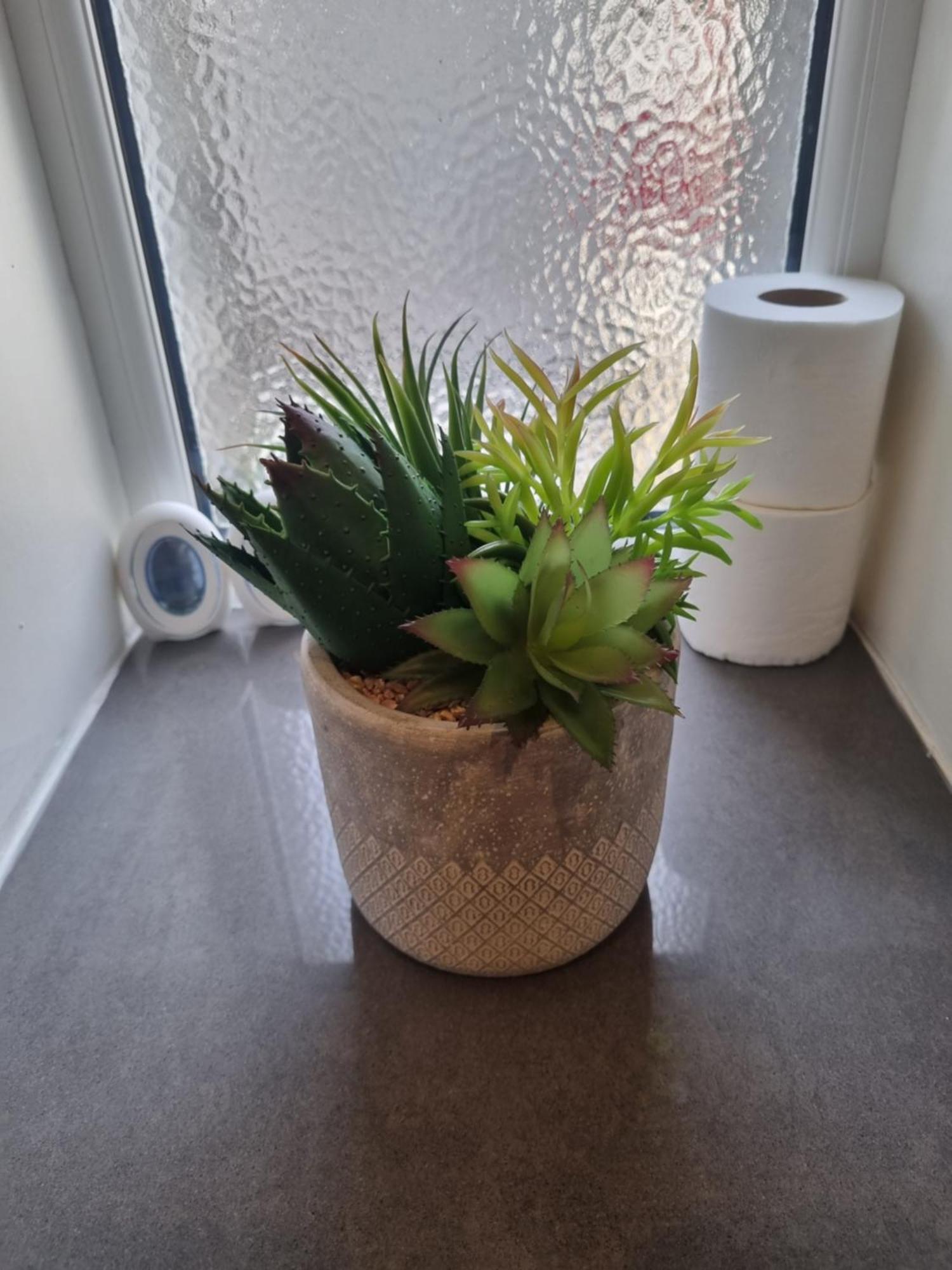 Oban Lorne Apartment Zewnętrze zdjęcie